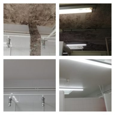 remise en état de douches collectives